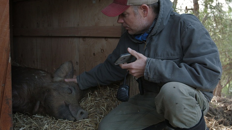 TheBiggestLittleFarm_768x432_acf_cropped