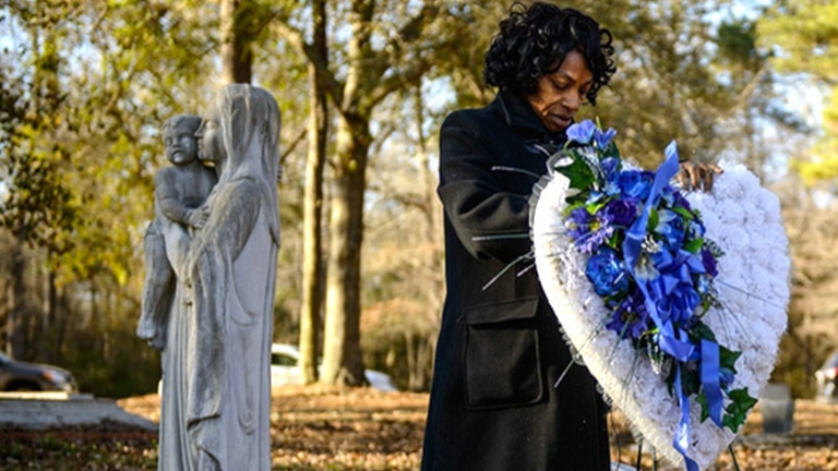 AlwaysInSeason_1_768x432_acf_cropped